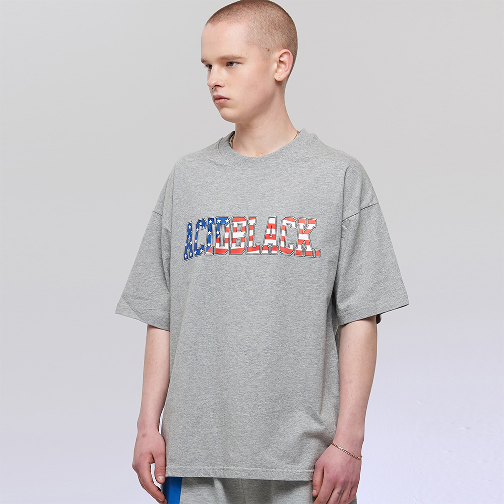 STARS AND STRIPES T (M/GRAY)