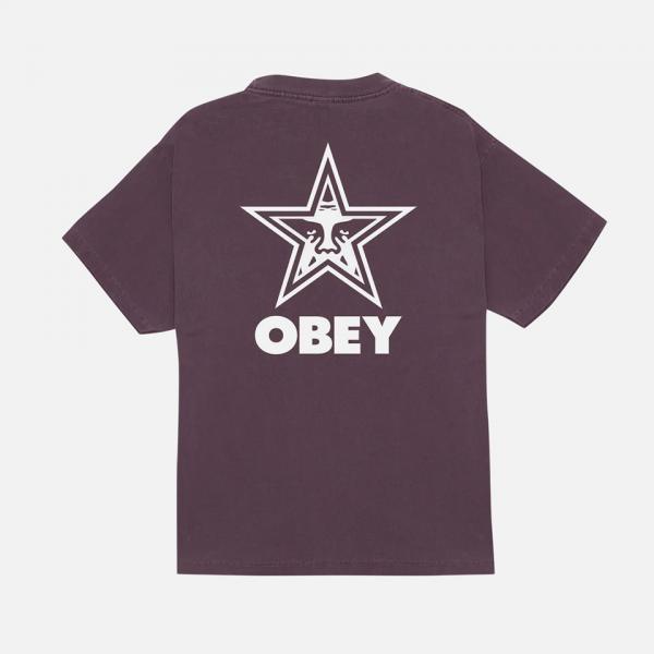 (167924225)  Ÿ Ƽ PIGMENT PLUM