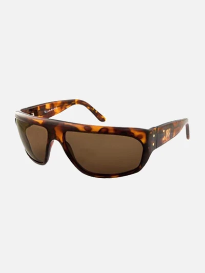 FIREBIRD-TORTOISE(BRONZE LENZ)