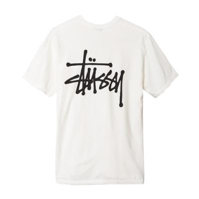 BASIC STUSSY PIG. DYED TEE-NATL