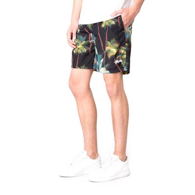 PALM SHORT-BLK