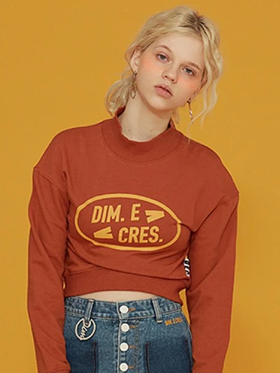 SIMPLE LOGO CROP SLEEVE TEE_BROWN