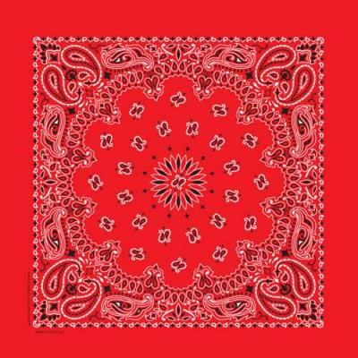 Paisley Bandana-RED