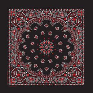 Paisley Bandana-BLK/RED