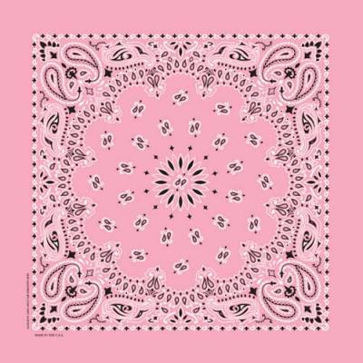 Paisley Bandana-PINK