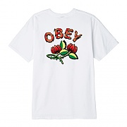 (163081926) OBEY BRIAR TEE TEE-WHT