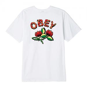 (163081926) OBEY BRIAR TEE TEE-WHT