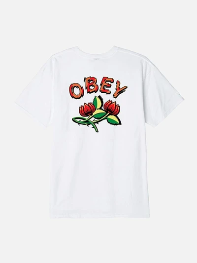 (163081926) OBEY BRIAR TEE TEE-WHT