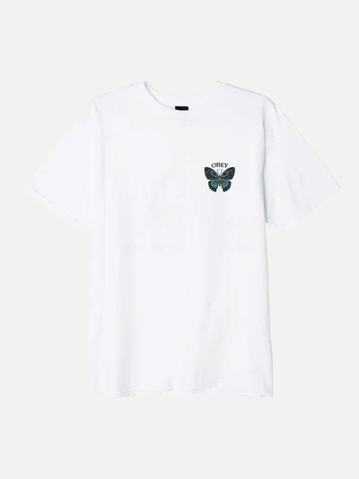(163082329) 버터플라이 반팔티 WHITE