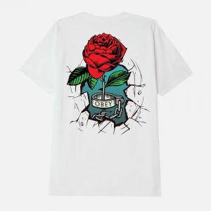 (165263094) 브레이크 다운 더 월스 반팔티 WHITE