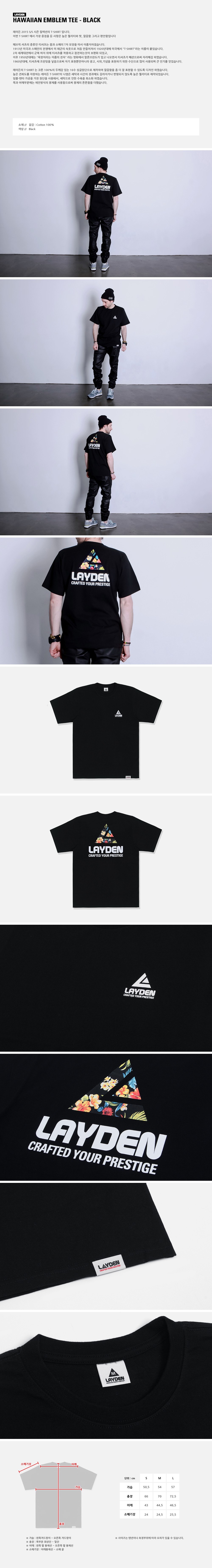 LAYDEN (���̵� ����Ƽ)
