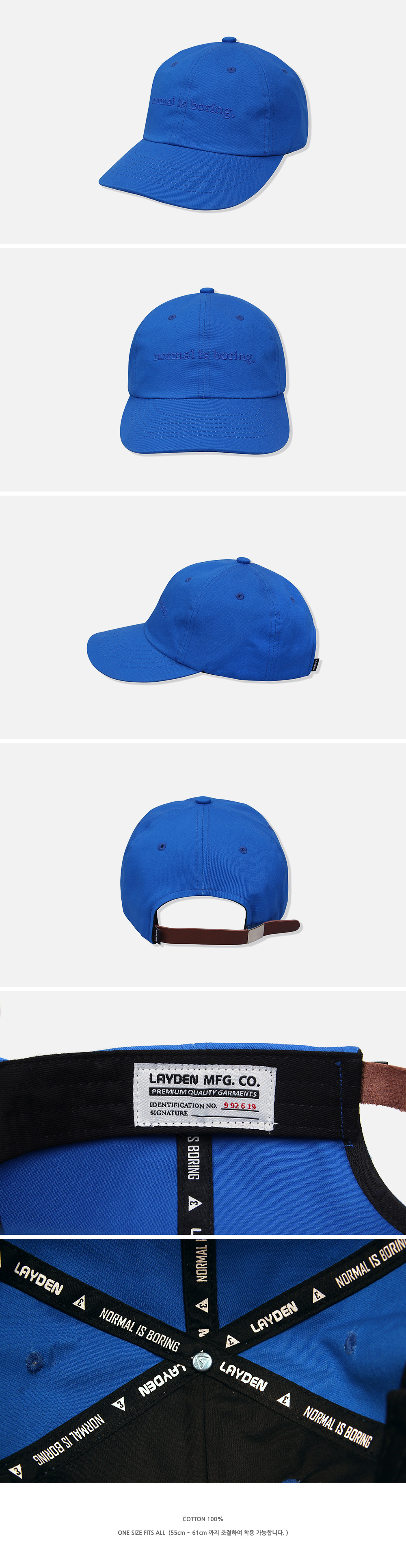 LAYDEN (·¹À̵ç)